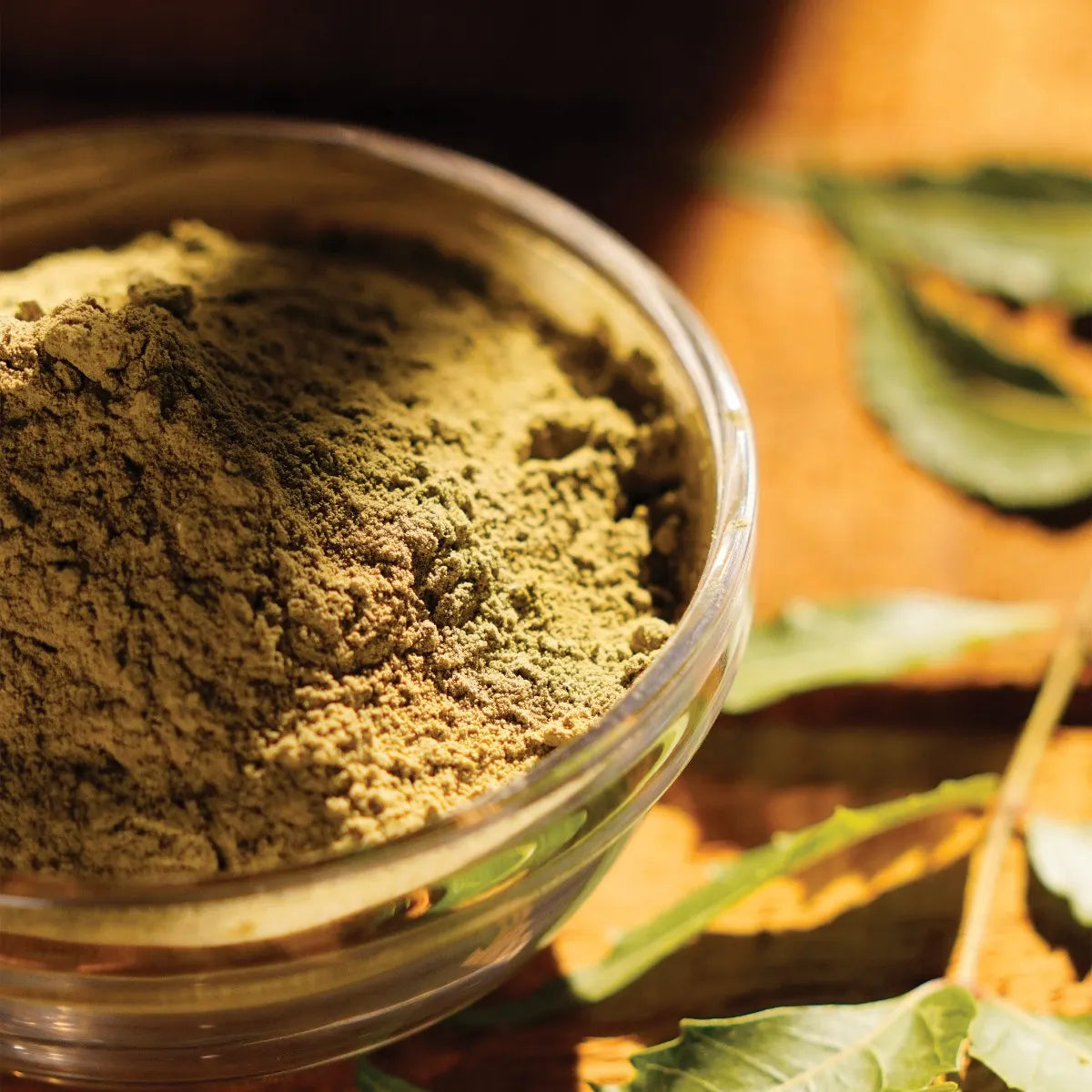 Neem Powder (100g)｜淨化排毒